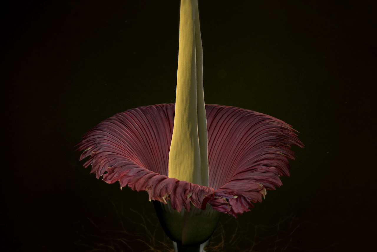 © Zurich University of the Arts, 2017