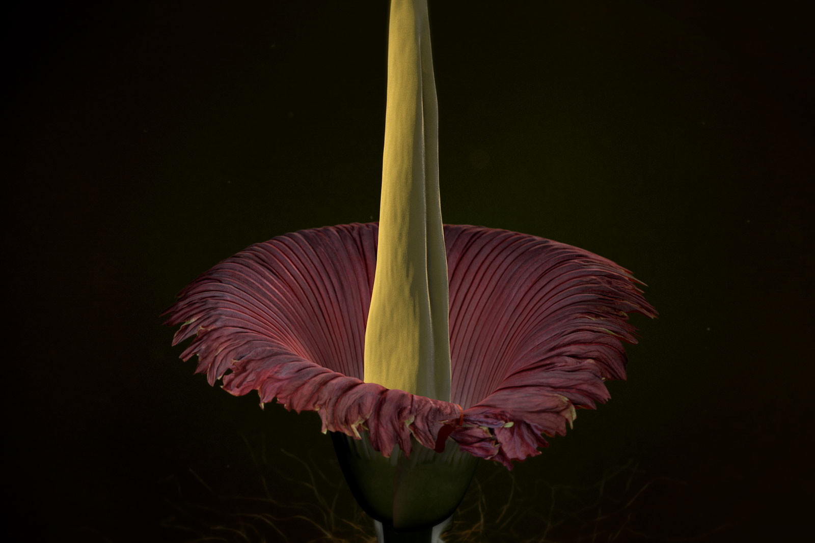 © Zurich University of the Arts, 2017