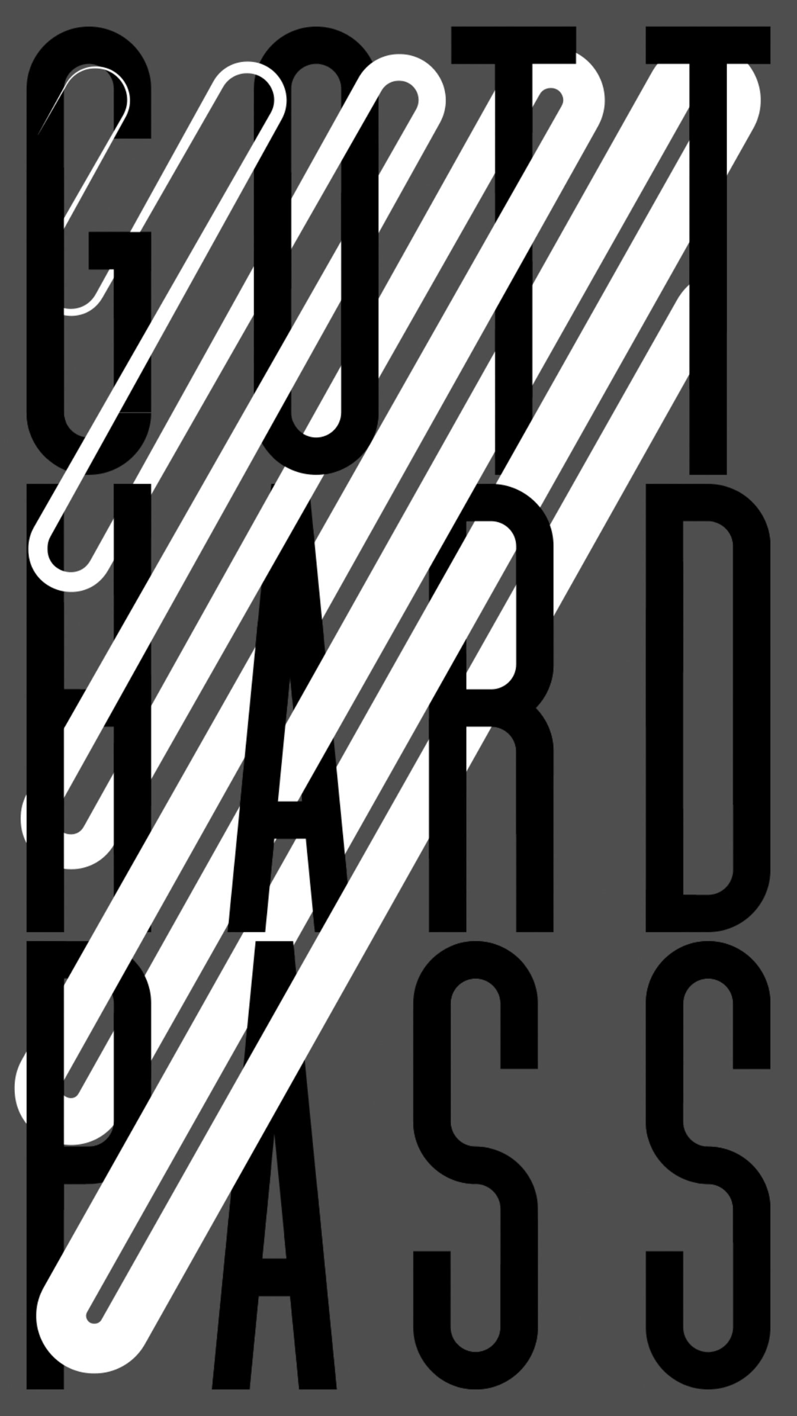 © Sebastian Bayer, Andreas Hänggi, Pascal Hartmann, Vera Kaeser, 2017